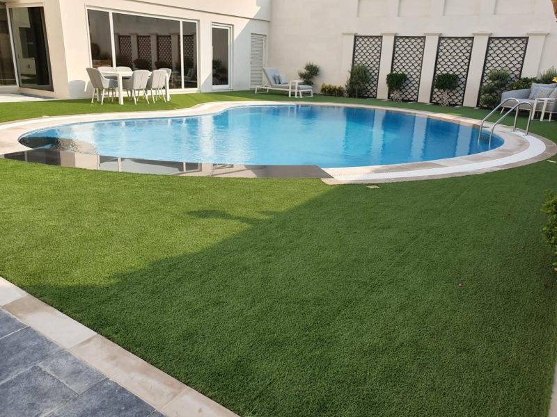 WhatsApp Image 2025-03-19 at 9.17.13 PM (1)