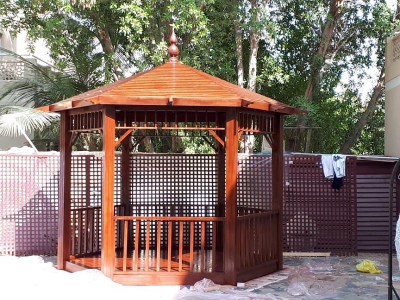 WhatsApp Image 2025-03-19 at 9.17.14 PM (1)