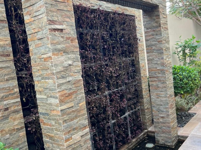 WhatsApp Image 2025-03-19 at 9.17.15 PM