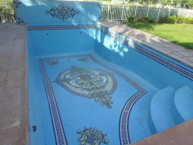 WhatsApp Image 2025-03-19 at 9.17.16 PM