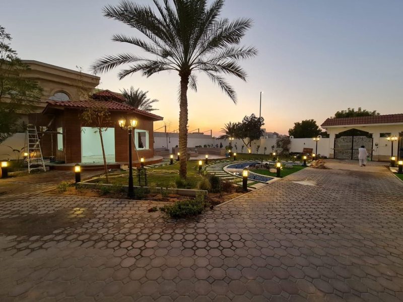 WhatsApp Image 2025-03-19 at 9.17.20 PM (2)