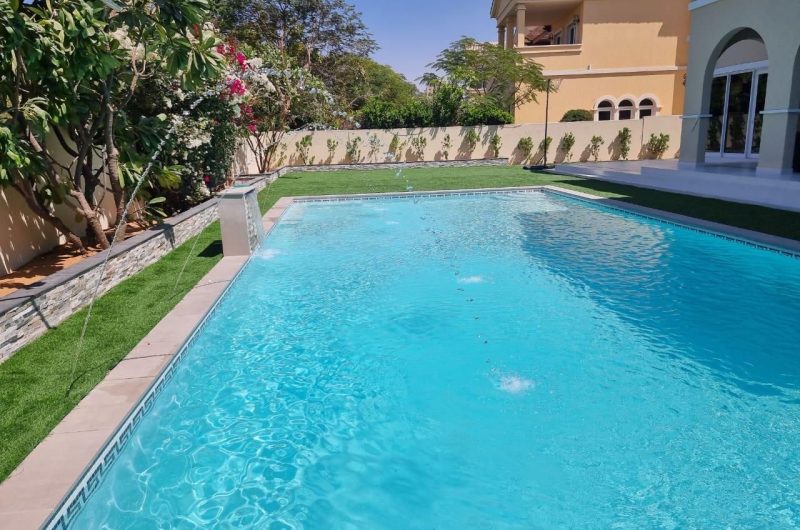 WhatsApp Image 2025-03-19 at 9.17.23 PM (1)