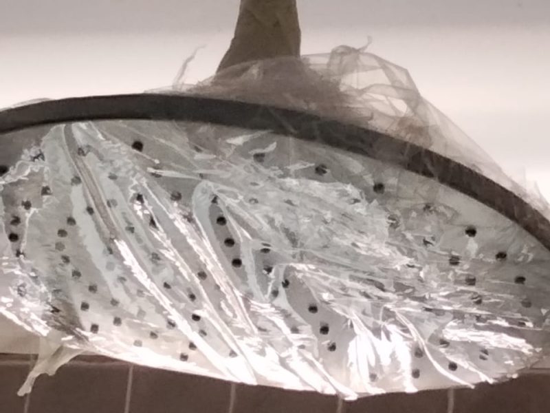 WhatsApp Image 2025-03-24 at 10.57.56 PM