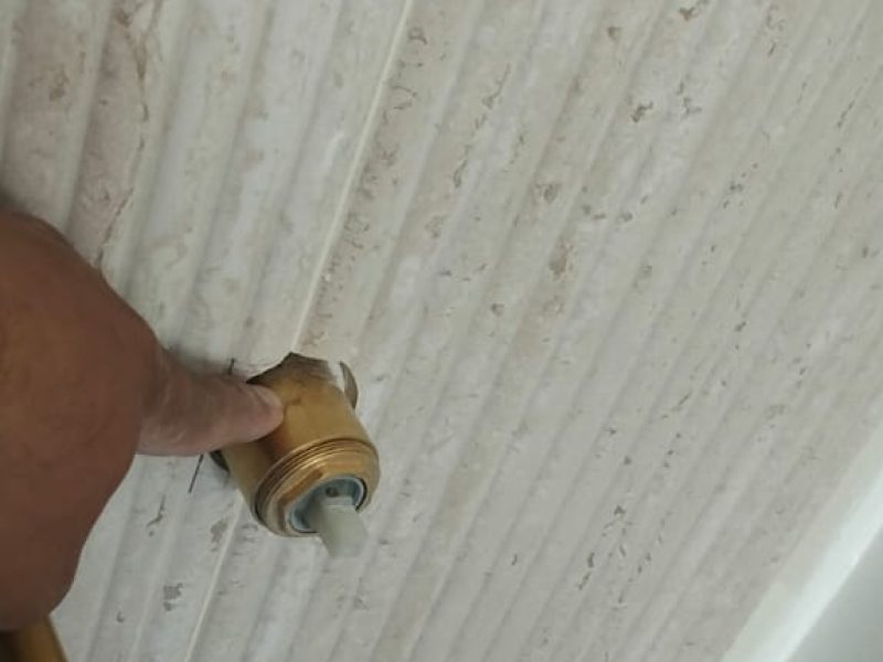 WhatsApp Image 2025-03-24 at 10.58.01 PM (1)