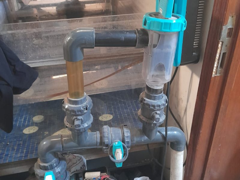 WhatsApp Image 2025-03-24 at 2.14.11 PM (1)