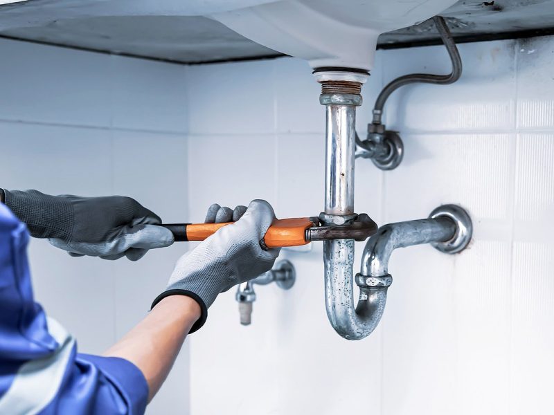 owl_wide_1200_67609ba37a7c9d43e516d66fc059cf98